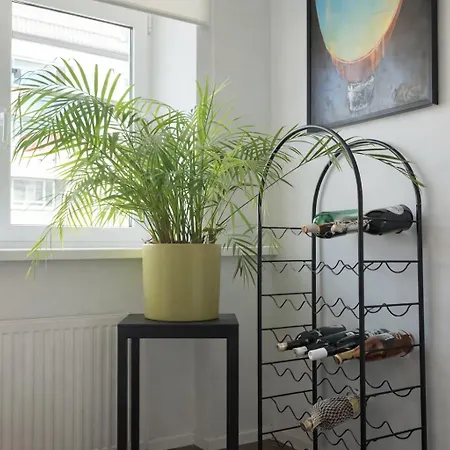 Top-secure Spacious Penthouse - Embassy Apartment Reval