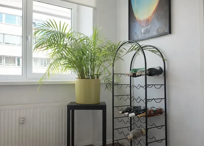 Top-secure Spacious Penthouse - Embassy Apartment Reval